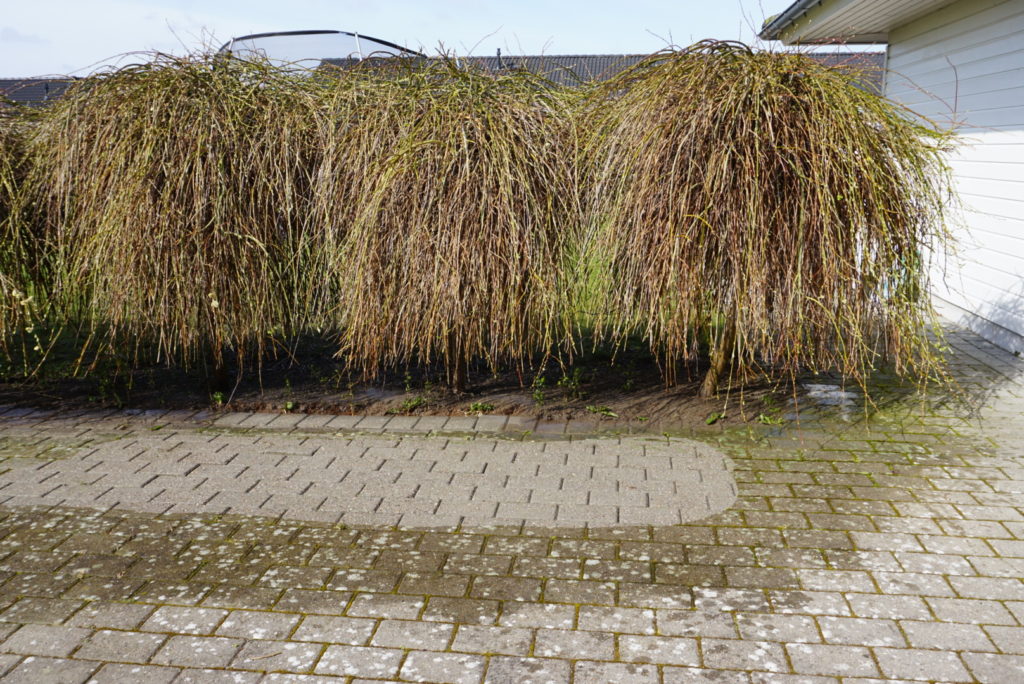 Fliserens (2)